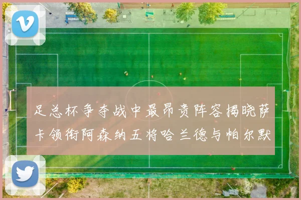足总杯争夺战中最昂贵阵容揭晓萨卡领衔阿森纳五将哈兰德与帕尔默同在列