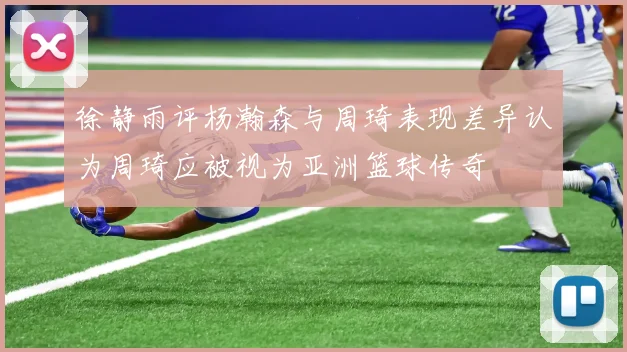 徐静雨评杨瀚森与周琦表现差异认为周琦应被视为亚洲篮球传奇