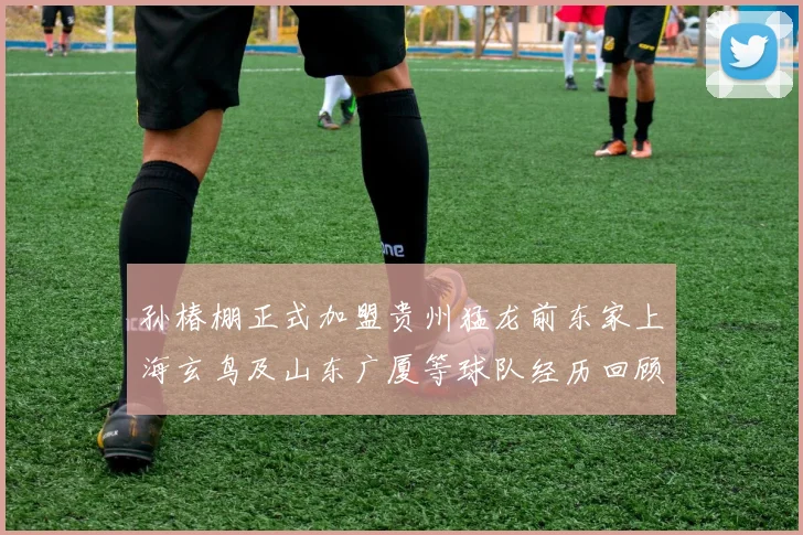 孙椿棚正式加盟贵州猛龙前东家上海玄鸟及山东广厦等球队经历回顾